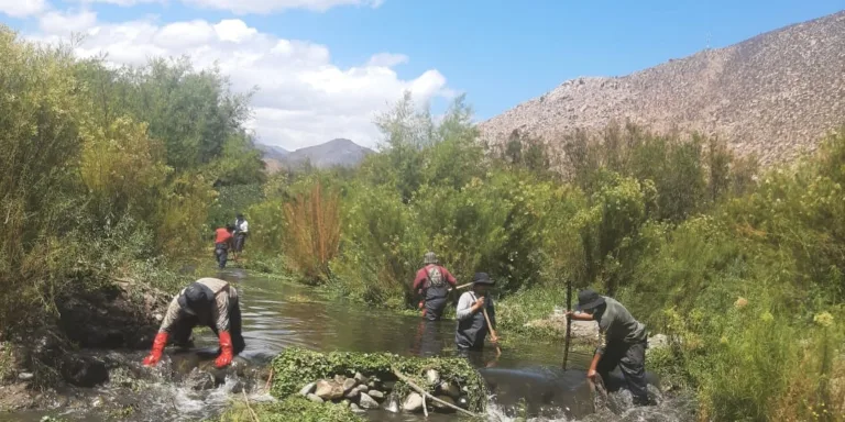 TRABAJO CON CAMARONEROS PERMITIRÁ  LIMPIEZA DEL RÍO CHOAPA
