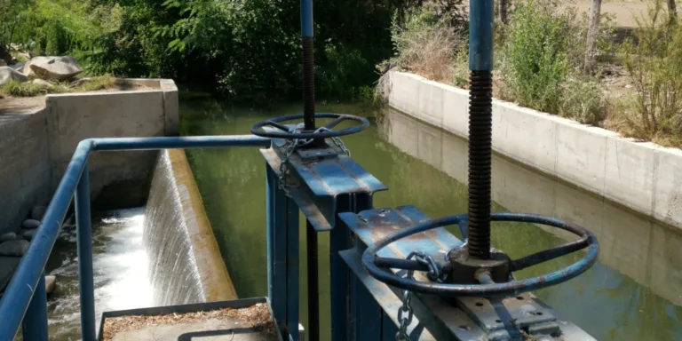 JUNTA DE VIGILANCIA AJUSTA DOTACIÓN DE AGUA AL 6% DE SUS DERECHOS