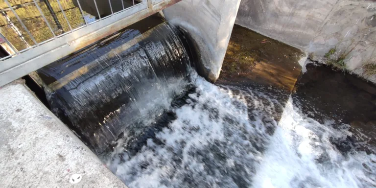 JUNTA DE VIGILANCIA AJUSTA DOTACIÓN DE AGUA AL 8% DE SUS DERECHOS