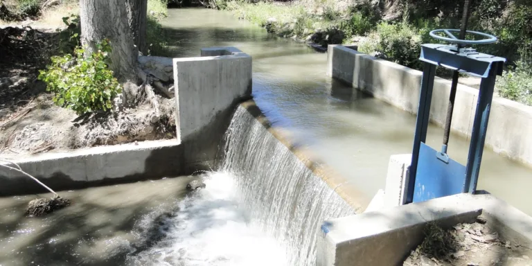 JUNTA DE VIGILANCIA AJUSTA LA PRORRATA AL 35% DE LOS DERECHOS