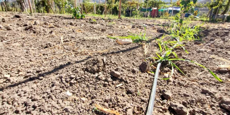 PLAN DE EFICIENCIA HÍDRICA MEJORA   DISTRIBUCIÓN DE AGUAS EN CANALES Y CAPACITA A MÁS DE 700 AGRICULTORES