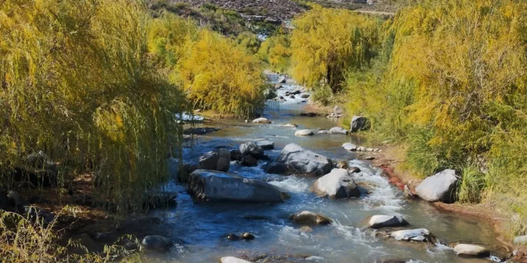 JVRCH INFORMA AJUSTE DE PRORRATA AL 10% DE LOS DERECHOS DE AGUAS PARA LOS USUARIOS DEL RÍO CHOAPA