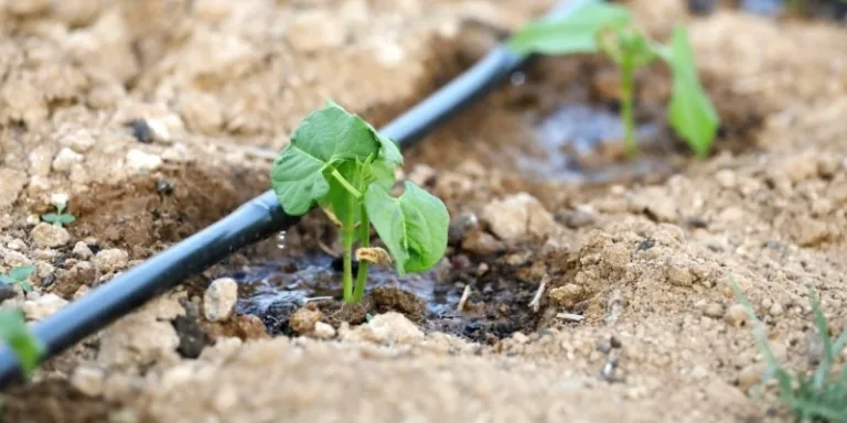 GRACIAS A LEY DE RIEGO Y TRABAJO DEL EQUIPO JVRCH, AGRICULTORES PODRÁN MEJORAR GESTIÓN Y USO DEL AGUA.