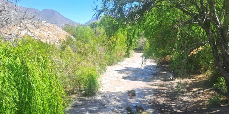 JVRCH INFORMA AJUSTE DE PRORRATA AL 45% DE LOS DERECHOS DE AGUAS A USUARIOS DE DAA EN EL RÍO CHOAPA