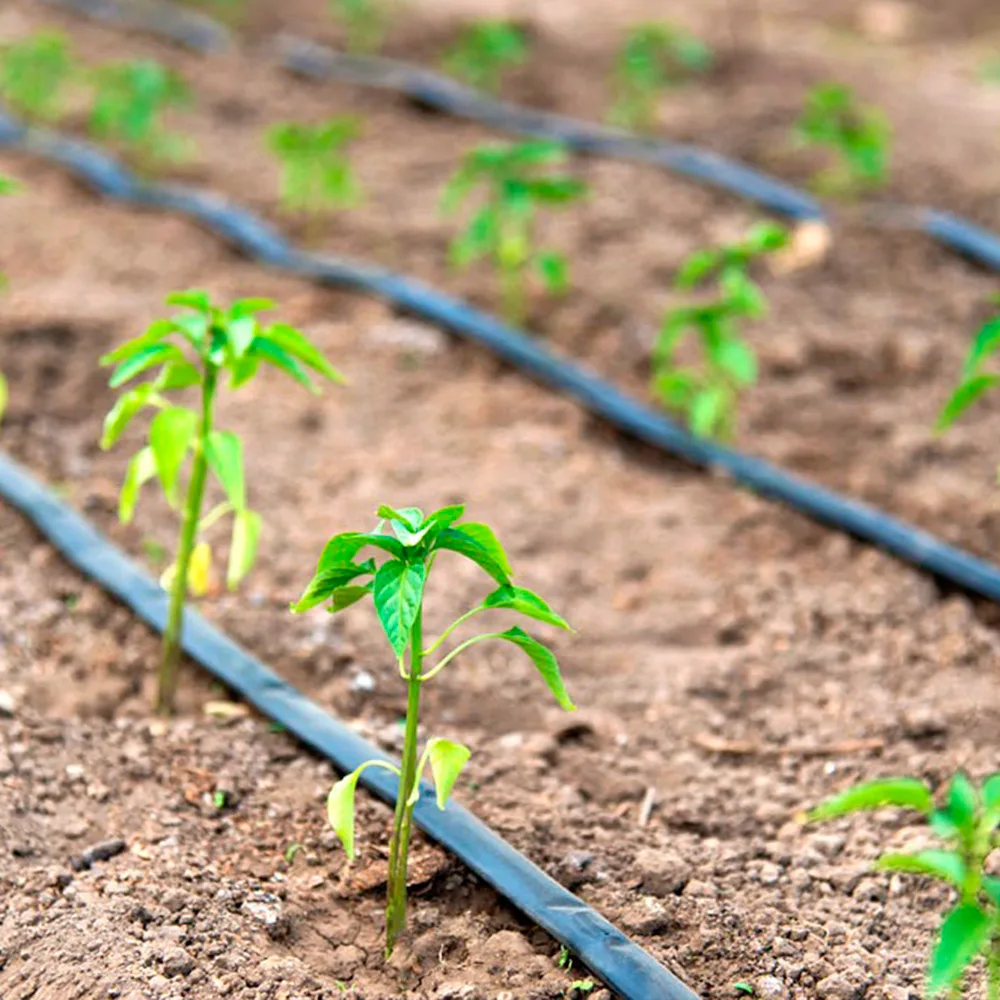 2008Nace el Plan de Eficiencia Hídrica para la Agricultura que promovió la eficiencia en el uso del agua a nivel predial y en canales, fomentando la conservación y la responsabilidad compartida.