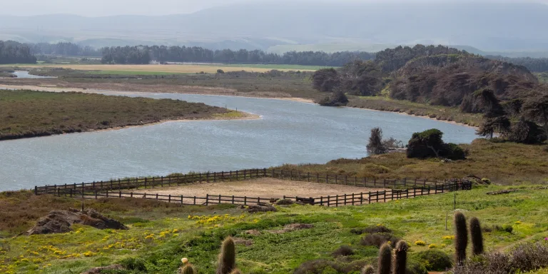 JVRCH INICIARÁ NUEVA ETAPA DE ESTUDIO EN EL HUMEDAL LAS SALINAS DE HUENTELAUQUÉN PARA ASEGURAR EL EQUILIBRIO ECOSISTÉMICO