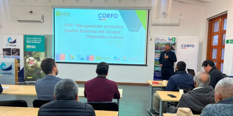 TRAS AÑOS DE DÉFICIT HÍDRICO: PROGRAMA BUSCA RECUPERAR LA PRODUCTIVIDAD DE LOS HUERTOS DE LA PROVINCIA DEL CHOAPA